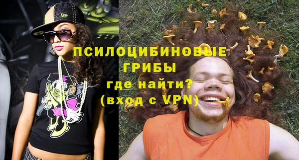 spice Алексеевка