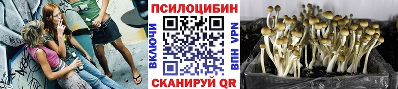 Галлюциногенные грибы прущие грибы Спасск-Рязанский